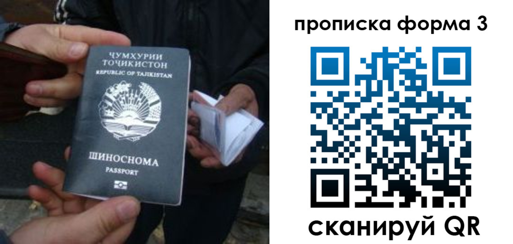 прописка 2025 в Чаплыгине